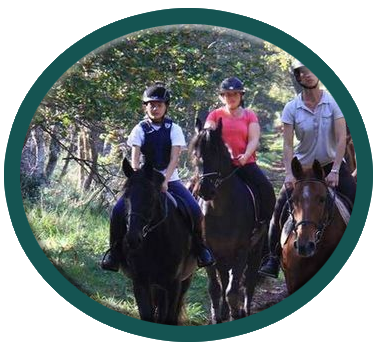 horse riding in fontainebleau forest